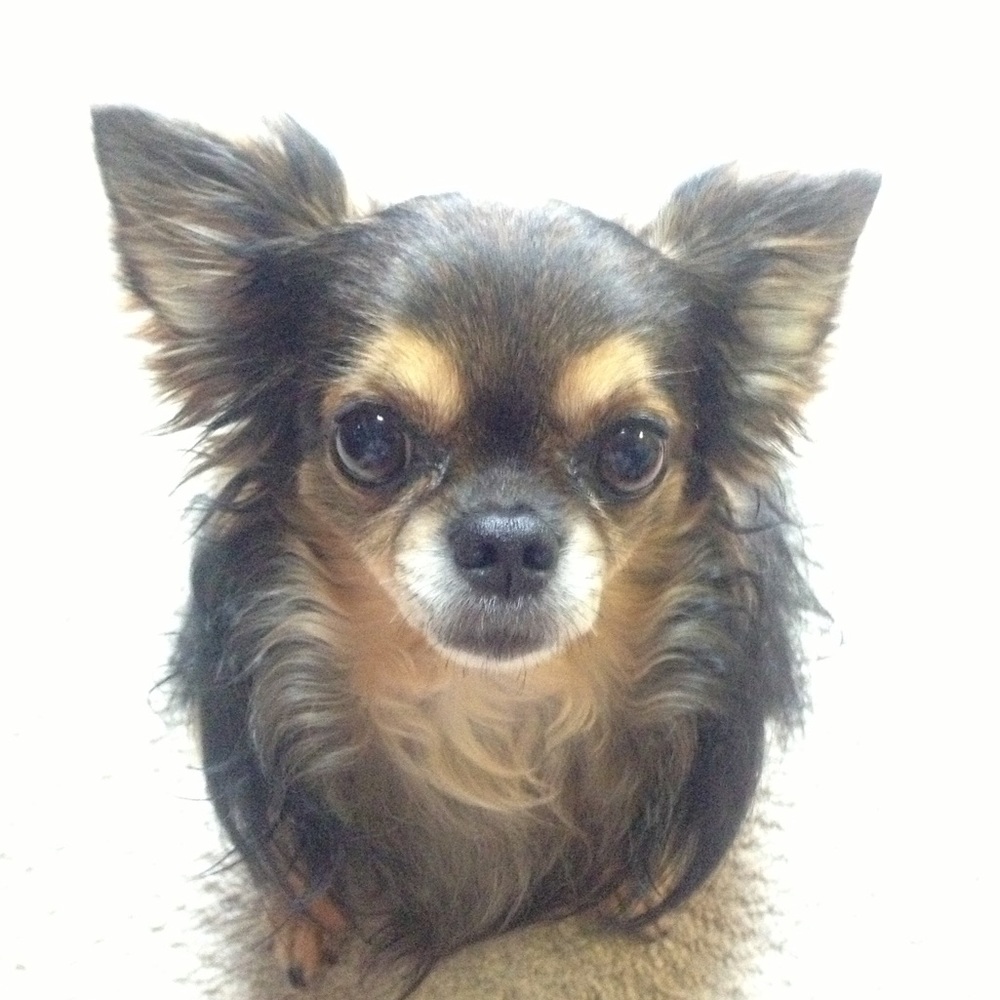 Meet your Posher, Naoko